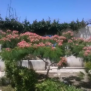 Ferienhaus Domus Austri, Messina